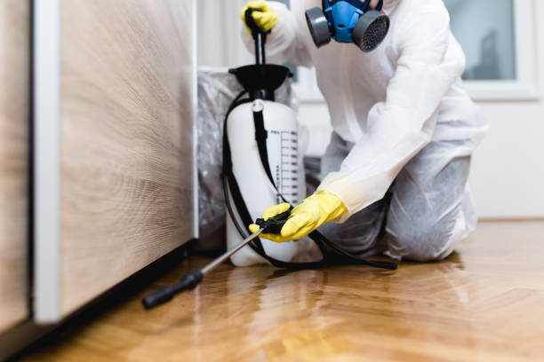 Best Emergency Pest Control  in Ronan, MT