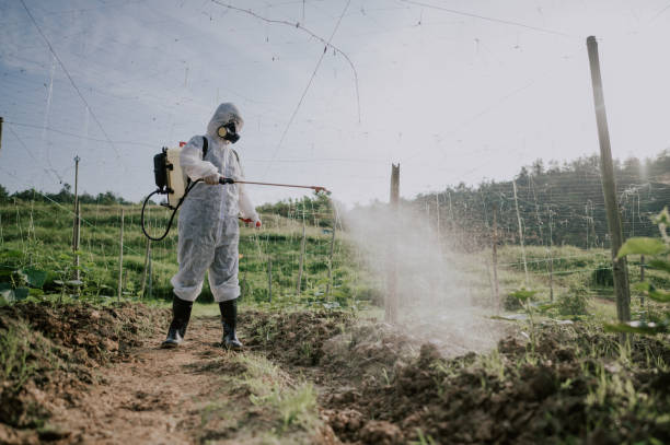 Best Best Pest Control Companies  in Ronan, MT