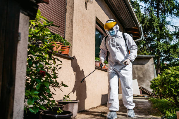 Best Flea Control Services  in Ronan, MT