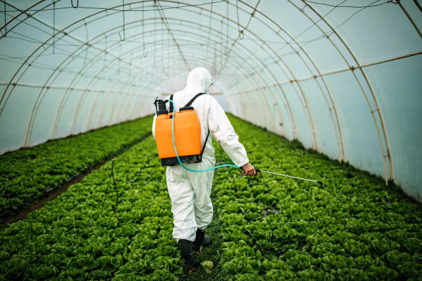 Pest Prevention Services in Ronan, MT