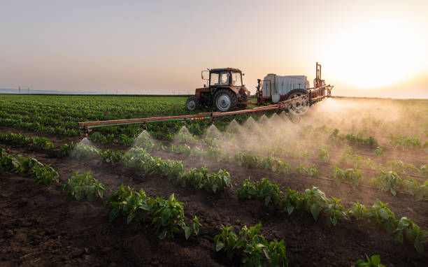 Professional Pest Control in Ronan, MT