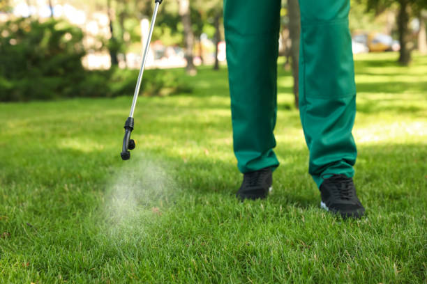 Best Flea Control Services  in Ronan, MT