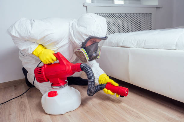 Best Wasp Removal Services  in Ronan, MT