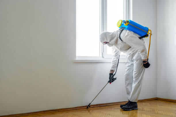 Best Emergency Pest Control  in Ronan, MT
