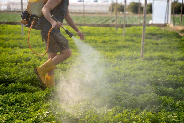Best Pest Inspection Near Me  in Ronan, MT