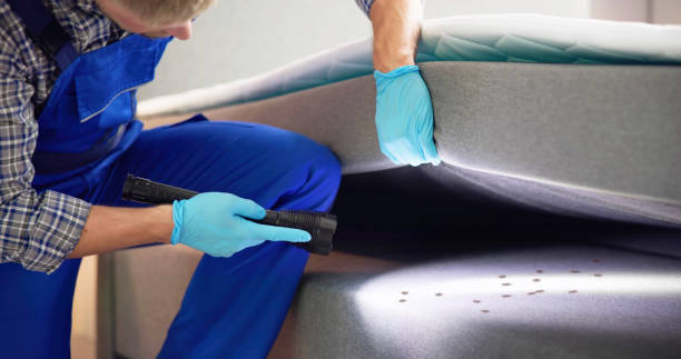Best Bed Bug Extermination  in Ronan, MT
