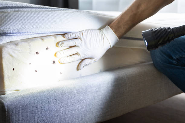 Best Best Pest Control Companies  in Ronan, MT