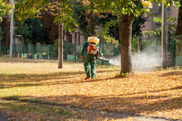 Best Pest Removal Services  in Ronan, MT
