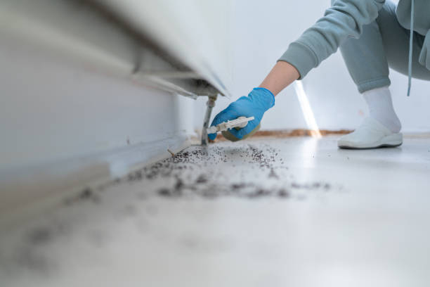 Best Pest Removal Services  in Ronan, MT