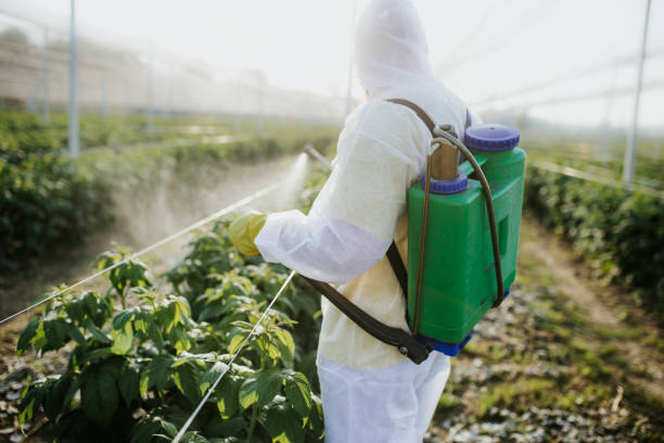 Best Affordable Exterminators  in Ronan, MT